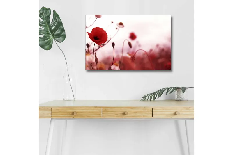 Canvas-taulu LED-valaistuksella - Punaisia unikkoja pehmeästi sumealla kukkaniityllä, Punainen / Vaaleanpunainen / Vihreä