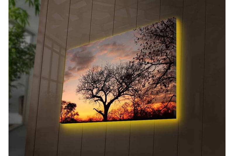 Canvas-taulu LED-valaistuksella - Puun siluetti värikästä auringonlaskua vasten - Tummanruskea / Oranssi / Keltainen - Sisustustuotteet - Taulu & taide - Canvas-taulu