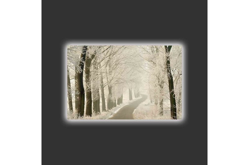 Canvas-taulu LED-valaistuksella - Pakkasinen tie lumisten puiden ympäröimänä - Valkoinen / Harmaa / Musta - Sisustustuotteet - Taulu & taide - Canvas-taulu