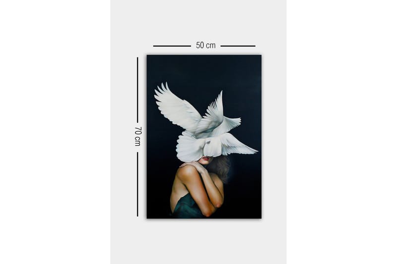Canvas-taulu - Linnut leijuvat paljaan olkapäänsä omaavan naisen yllä - Valkoinen / Musta / Ihonvärinen - Sisustustuotteet - Taulu & taide - Canvas-taulu