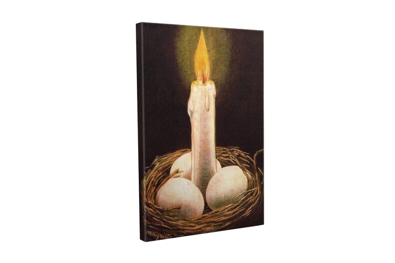 Canvas-taulu - Loistava valo pesässä munien kanssa, Valkoinen / Ruskea / Keltainen