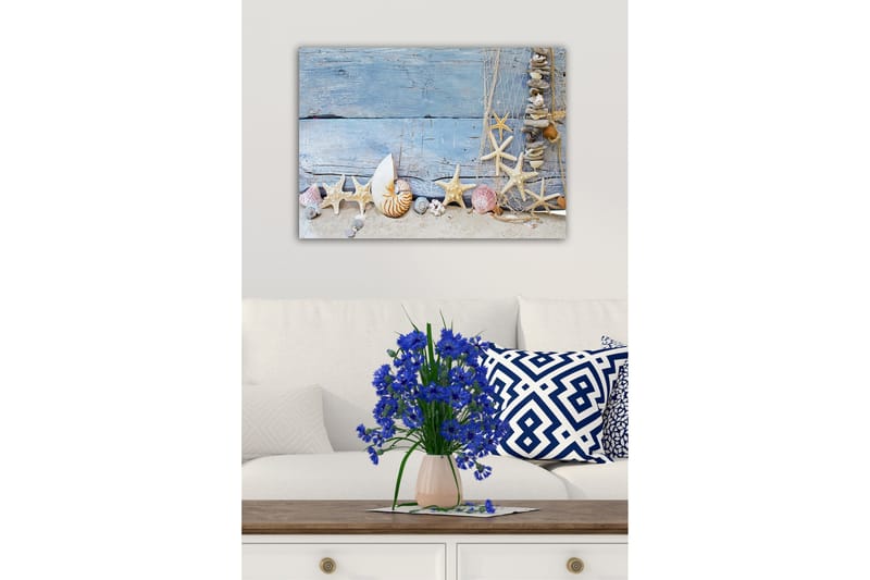 Canvas-taulu - Merestä inspiroitunut simpukankuorien ja meritähtien kokoelma - Sininen / Beige / Valkoinen - Sisustustuotteet - Taulu & taide - Canvas-taulu