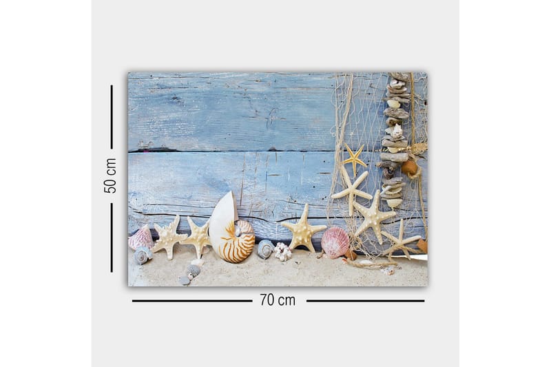 Canvas-taulu - Merestä inspiroitunut simpukankuorien ja meritähtien kokoelma - Sininen / Beige / Valkoinen - Sisustustuotteet - Taulu & taide - Canvas-taulu