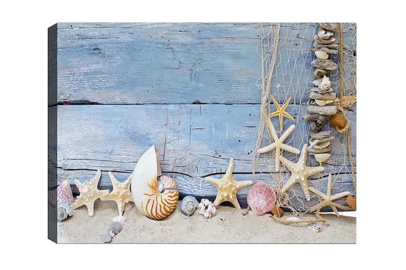 Canvas-taulu - Merestä inspiroitunut simpukankuorien ja meritähtien kokoelma, Sininen / Beige / Valkoinen