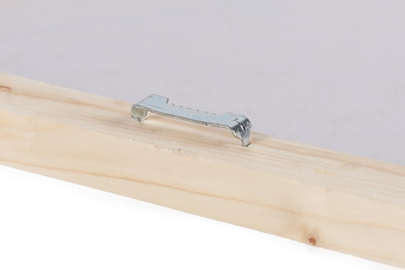 Canvas-taulu - Meriaihe simpukoilla ja palmunlehdillä - Sininen / Beige / Vihreä - Sisustustuotteet - Taulu & taide - Canvas-taulu