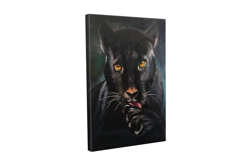 Canvas-taulu - Musta pantteri intensiivisin silmin nuolee tassuaan - Musta / Kulta / Tummanvihreä - Sisustustuotteet - Taulu & taide - Canvas-taulu