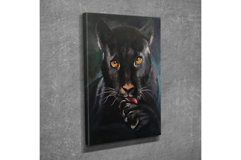 Canvas-taulu - Musta pantteri intensiivisin silmin nuolee tassuaan - Musta / Kulta / Tummanvihreä - Sisustustuotteet - Taulu & taide - Canvas-taulu