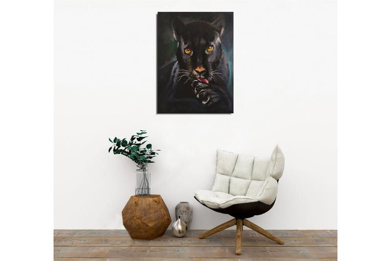 Canvas-taulu - Musta pantteri intensiivisin silmin nuolee tassuaan - Musta / Kulta / Tummanvihreä - Sisustustuotteet - Taulu & taide - Canvas-taulu