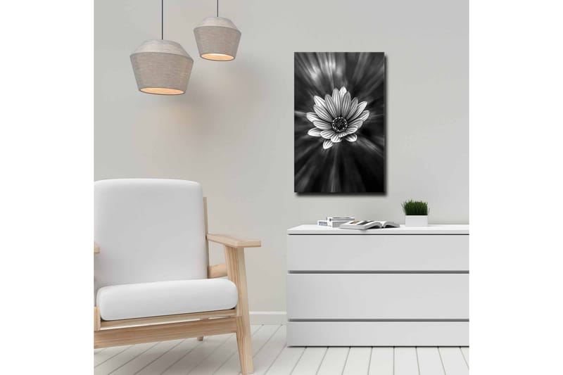 Canvas-taulu - mustavalkoinen kukka, jonka valonsäteet luovat dramaattisen vaikutelman - Musta / Valkoinen / Harmaa - Sisustustuotteet - Taulu & taide - Canvas-taulu