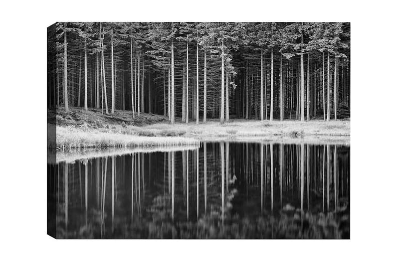 Canvas-taulu - mustavalkoinen metsämaisema ja heijastus vedessä, Musta / Valkoinen / Harmaa