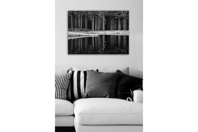 Canvas-taulu - mustavalkoinen metsämaisema ja heijastus vedessä - Musta / Valkoinen / Harmaa - Sisustustuotteet - Taulu & taide - Canvas-taulu