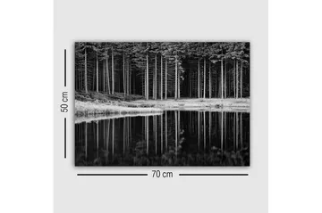 Canvas-taulu - mustavalkoinen metsämaisema ja heijastus vedessä - Musta / Valkoinen / Harmaa - Sisustustuotteet - Taulu & taide - Canvas-taulu