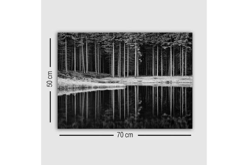 Canvas-taulu - mustavalkoinen metsämaisema ja heijastus vedessä - Musta / Valkoinen / Harmaa - Sisustustuotteet - Taulu & taide - Canvas-taulu