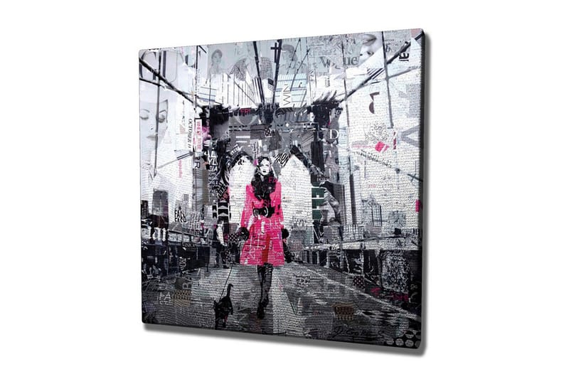 Canvas-taulu - Nainen vaaleanpunaisessa takissa kävelee kissan kanssa sillalla, Vaaleanpunainen / Musta / Harmaa