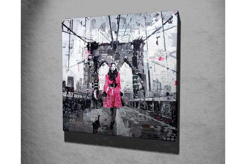 Canvas-taulu - Nainen vaaleanpunaisessa takissa kävelee kissan kanssa sillalla - Vaaleanpunainen / Musta / Harmaa - Sisustustuotteet - Taulu & taide - Canvas-taulu