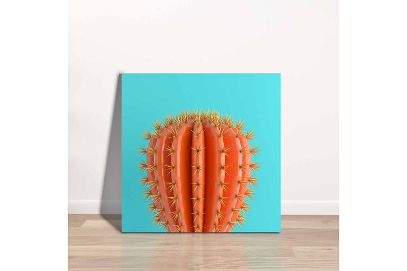 Canvas-taulu - Oranssi kaktus piikeillä turkoosia taustaa vasten - Oranssi / Turkoosi - Sisustustuotteet - Taulu & taide - Canvas-taulu