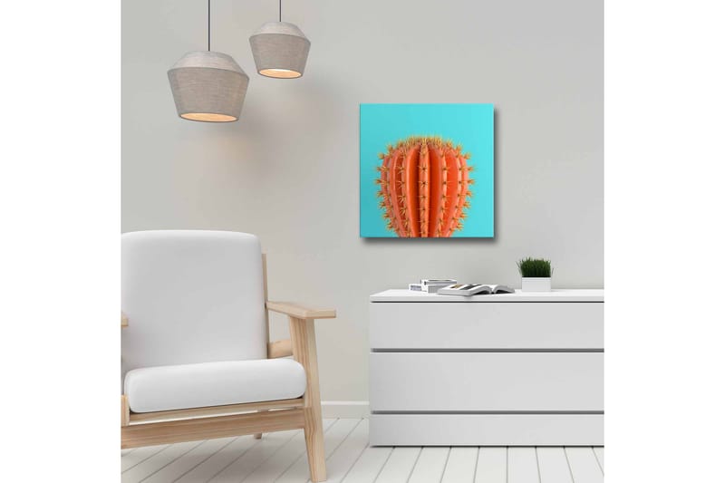 Canvas-taulu - Oranssi kaktus piikeillä turkoosia taustaa vasten - Oranssi / Turkoosi - Sisustustuotteet - Taulu & taide - Canvas-taulu