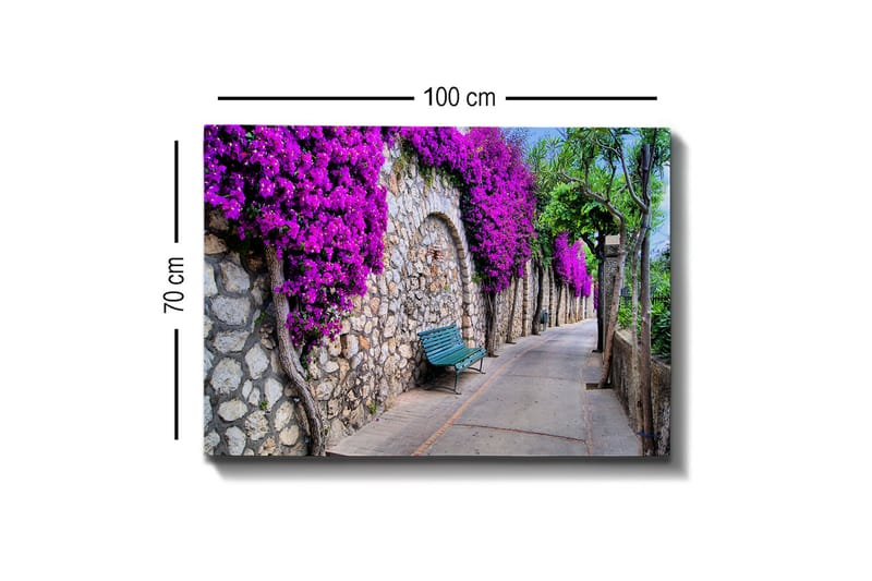 Canvas-taulu - Rehevä kävelytie kukkivien bougainvilleoiden ympäröimänä - Violetti / Harmaa / Vihreä - Sisustustuotteet - Taulu & taide - Canvas-taulu