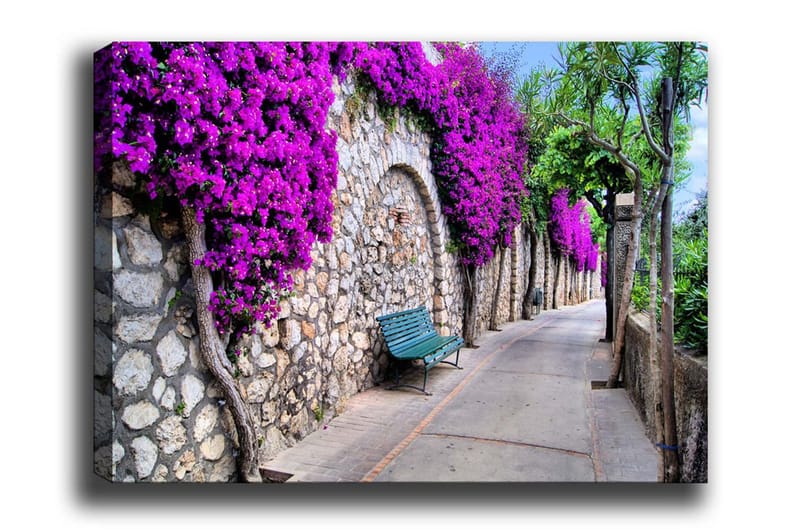 Canvas-taulu - Rehevä kävelytie kukkivien bougainvilleoiden ympäröimänä - Violetti / Harmaa / Vihreä - Sisustustuotteet - Taulu & taide - Canvas-taulu