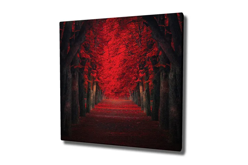 Canvas-taulu - Rehevä katu ja intensiivisen punaisia puita syksyn väreissä, Punainen / Musta