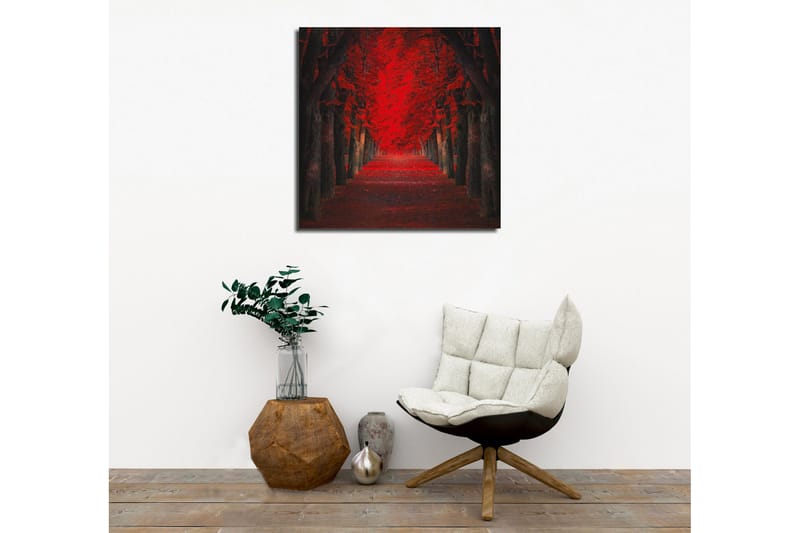 Canvas-taulu - Rehevä katu ja intensiivisen punaisia puita syksyn väreissä - Punainen / Musta - Sisustustuotteet - Taulu & taide - Canvas-taulu