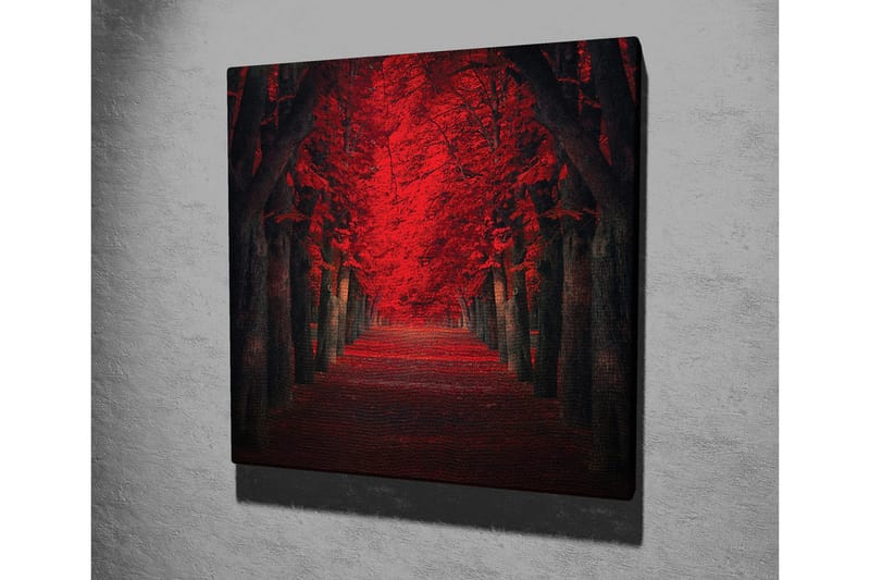 Canvas-taulu - Rehevä katu ja intensiivisen punaisia puita syksyn väreissä - Punainen / Musta - Sisustustuotteet - Taulu & taide - Canvas-taulu