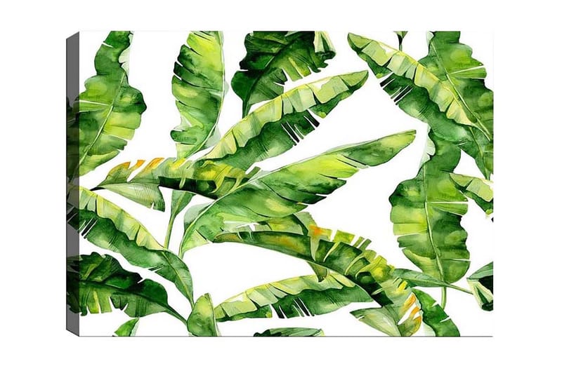 Canvas-taulu - Rehevä lehdistö ja trooppiset kasvit, Tummanvihreä / Vaaleanvihreä / Keltavihreä