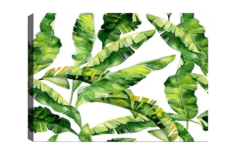 Canvas-taulu - Rehevä lehdistö ja trooppiset kasvit, Tummanvihreä / Vaaleanvihreä / Keltavihreä