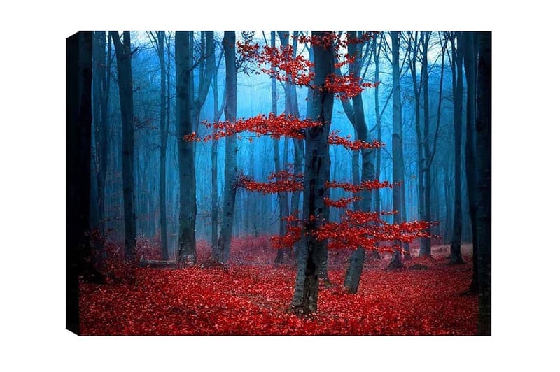 Canvas-taulu - Salaperäinen metsä punaisten puiden kanssa sumussa - Punainen / Sininen / Harmaa - Sisustustuotteet - Taulu & taide - Canvas-taulu