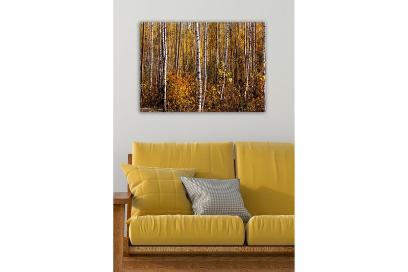 Canvas-taulu - Syysmetsä koivujen ja kultaisten lehtien kanssa - Kulta / Valkoinen / Ruskea - Sisustustuotteet - Taulu & taide - Canvas-taulu