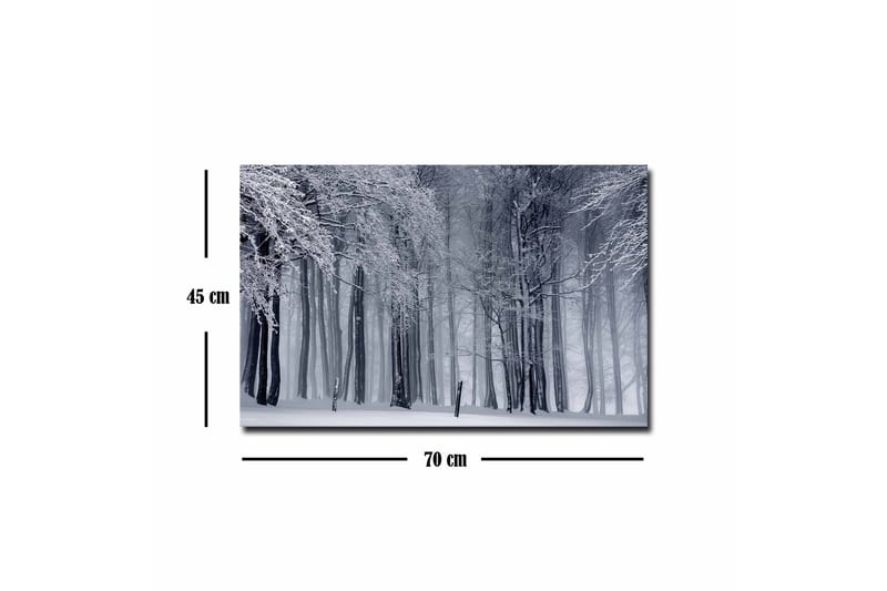 Canvas-taulu - Talvimetsä lumipeitteisten puiden kanssa - Valkoinen / Harmaa / Musta - Sisustustuotteet - Taulu & taide - Canvas-taulu
