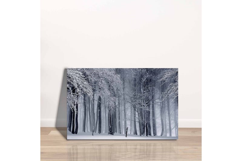 Canvas-taulu - Talvimetsä lumipeitteisten puiden kanssa - Valkoinen / Harmaa / Musta - Sisustustuotteet - Taulu & taide - Canvas-taulu