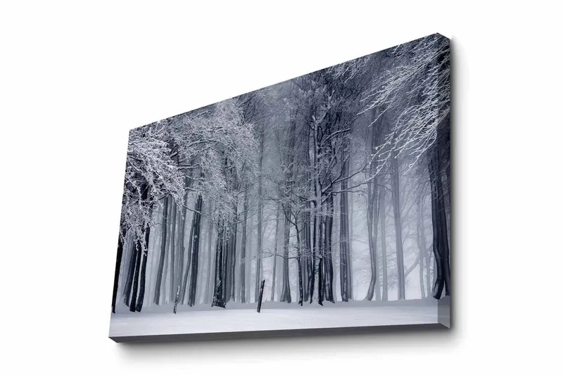 Canvas-taulu - Talvimetsä lumipeitteisten puiden kanssa, Valkoinen / Harmaa / Musta