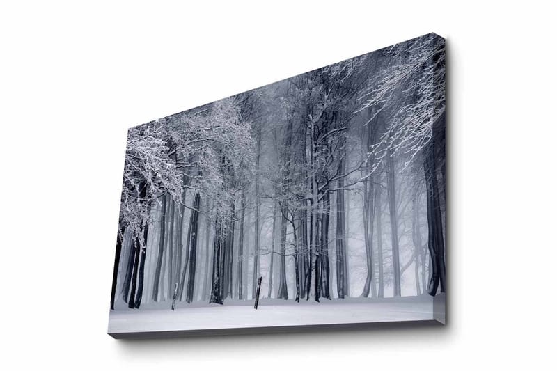 Canvas-taulu - Talvimetsä lumipeitteisten puiden kanssa, Valkoinen / Harmaa / Musta
