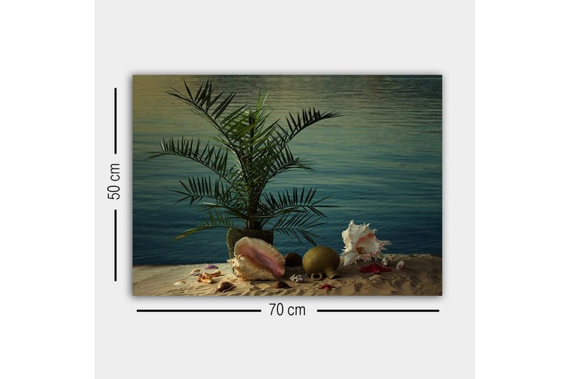 Canvas-taulu - Trooppinen rauha palmun ja simpukoiden kanssa veden äärellä - Vihreä / Beige / Vaaleanpunainen - Sisustustuotteet - Taulu & taide - Canvas-taulu