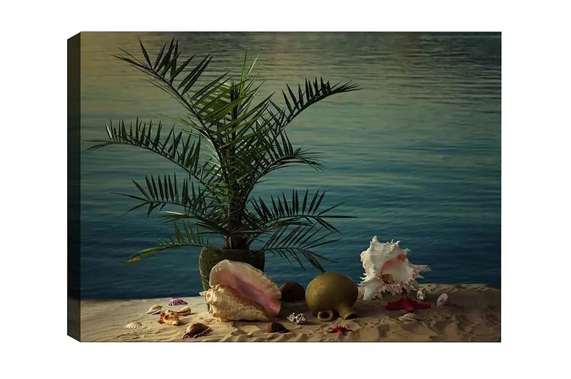 Canvas-taulu - Trooppinen rauha palmun ja simpukoiden kanssa veden äärellä, Vihreä / Beige / Vaaleanpunainen