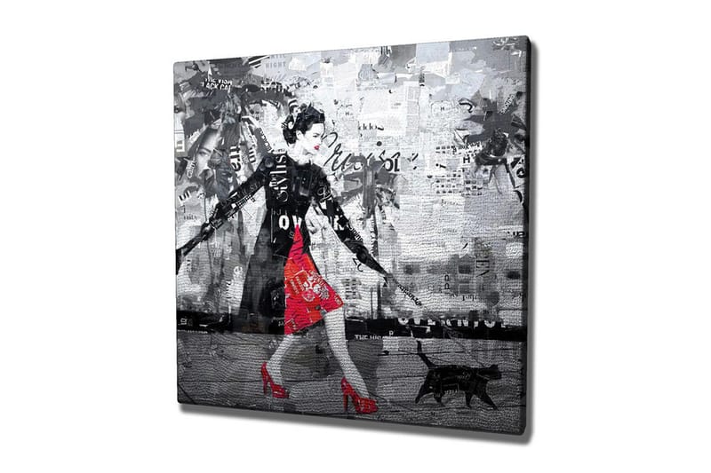 Canvas-taulu - Tyylikäs nainen punaisessa mekossa mustan kissan kanssa kaupunkiympäristössä, Punainen / Musta / Harmaa
