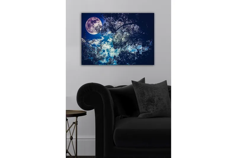 Canvas-taulu - Upea kuu loistaa yötaivaan yllä, puiden latvojen siluetti - Tummansininen / Vaaleansininen / Valkoinen - Sisustustuotteet - Taulu & taide - Canvas-taulu