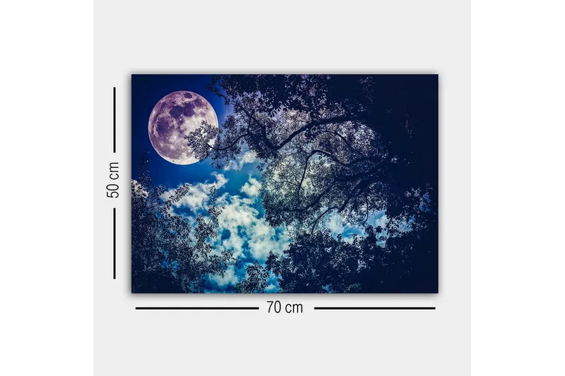 Canvas-taulu - Upea kuu loistaa yötaivaan yllä, puiden latvojen siluetti - Tummansininen / Vaaleansininen / Valkoinen - Sisustustuotteet - Taulu & taide - Canvas-taulu