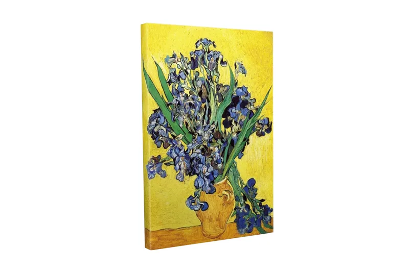 Canvas-taulu - Värikäs iiriksenkukkien kimppu ruukussa, Sininen / Vihreä / Keltainen