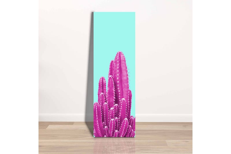 Canvas-taulu - Värikäs kaktus vaaleansinistä taustaa vasten - Vaaleansininen / Vaaleanpunainen - Sisustustuotteet - Taulu & taide - Canvas-taulu