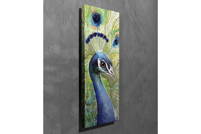 Canvas-taulu - Värikäs riikinkukko koristeellisella höyhenpeitteellä - Sininen / Vihreä / Musta - Sisustustuotteet - Taulu & taide - Canvas-taulu