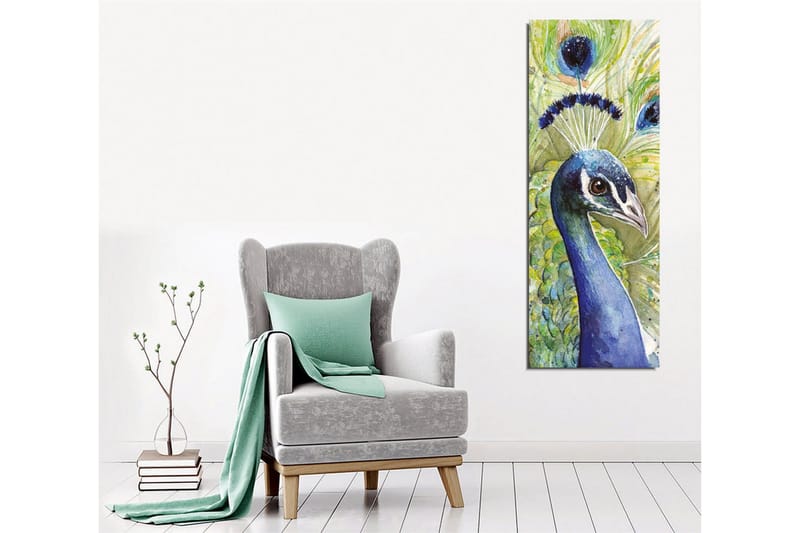 Canvas-taulu - Värikäs riikinkukko koristeellisella höyhenpeitteellä - Sininen / Vihreä / Musta - Sisustustuotteet - Taulu & taide - Canvas-taulu