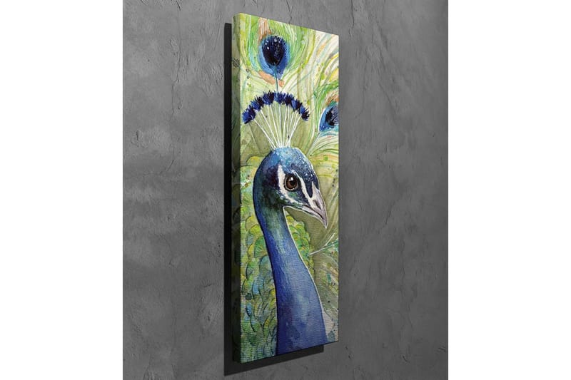 Canvas-taulu - Värikäs riikinkukko koristeellisella höyhenpeitteellä - Sininen / Vihreä / Musta - Sisustustuotteet - Taulu & taide - Canvas-taulu