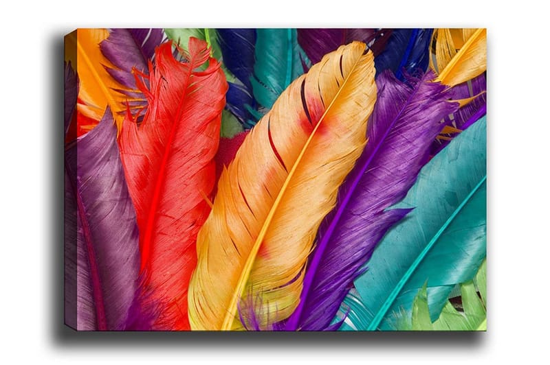 Canvas-taulu - Värikkäitä höyheniä eri sävyissä, Punainen / Violetti / Oranssi