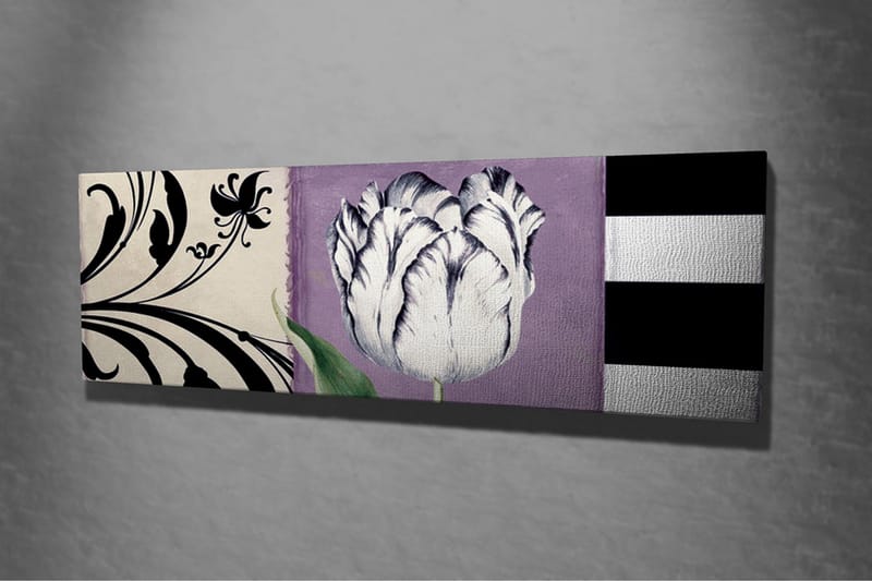 Canvas-taulu - Valkoinen tulppaani violettia taustaa vasten - Valkoinen / Violetti / Musta - Sisustustuotteet - Taulu & taide - Canvas-taulu