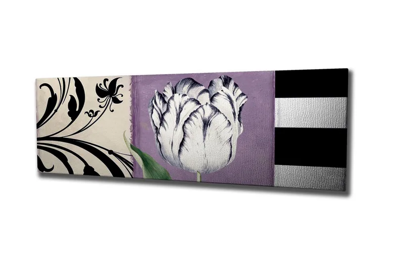 Canvas-taulu - Valkoinen tulppaani violettia taustaa vasten, Valkoinen / Violetti / Musta