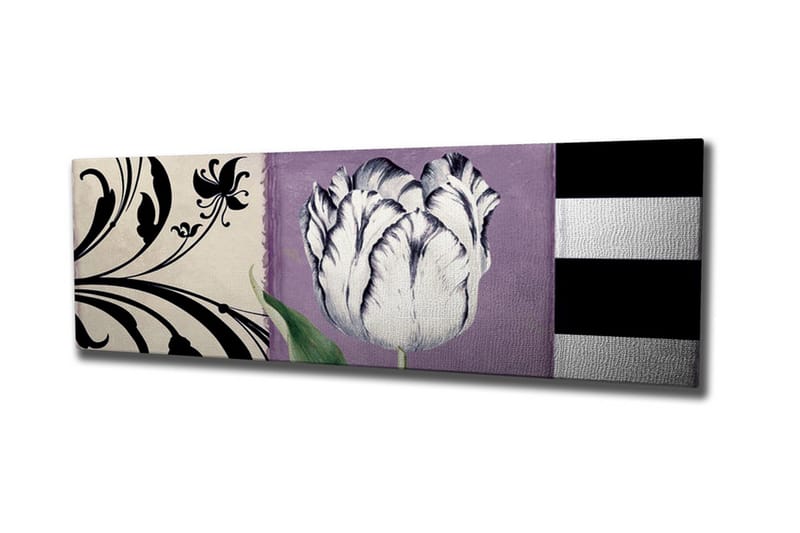 Canvas-taulu - Valkoinen tulppaani violettia taustaa vasten, Valkoinen / Violetti / Musta