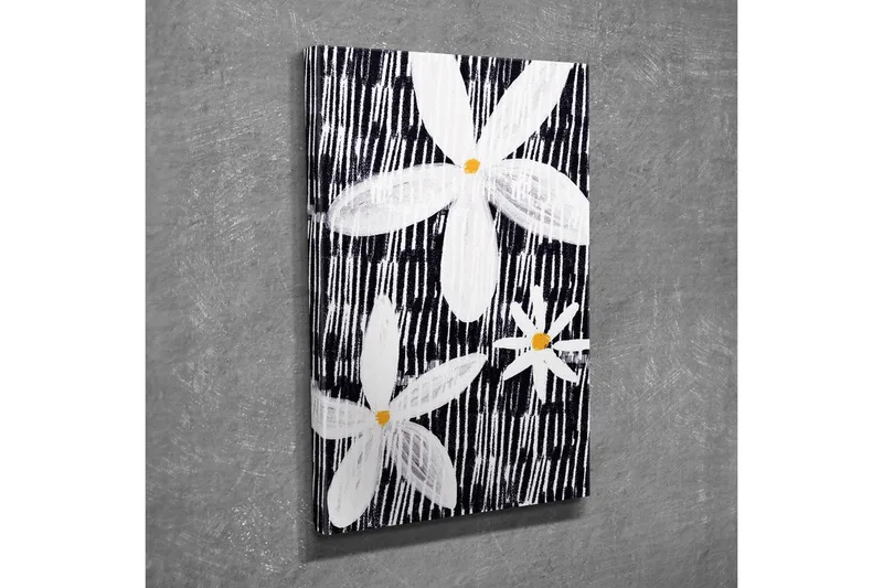 Canvas-taulu - Valkoisia ja keltaisia kukkia mustalla taustalla - Valkoinen / Musta / Keltainen - Sisustustuotteet - Taulu & taide - Canvas-taulu