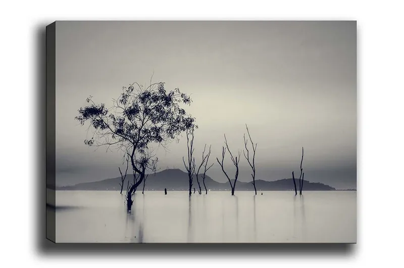 Canvas-taulu - Yksinäinen puu sumuisessa vesimaisemassa, Musta / Harmaa / Valkoinen
